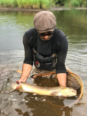 ブラウントラウト